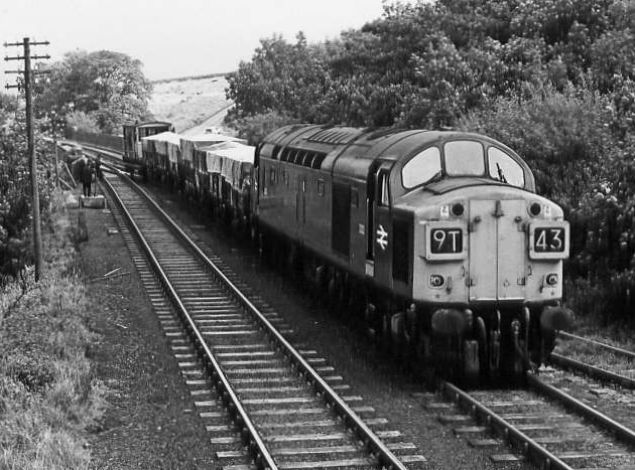 Class 40 at Hartley